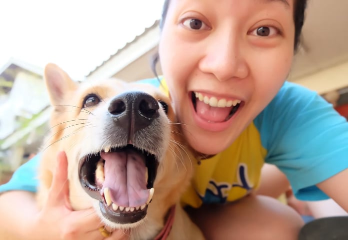 brain training for dogs module-7