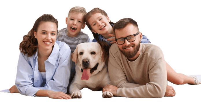 brain training for dogs module-5